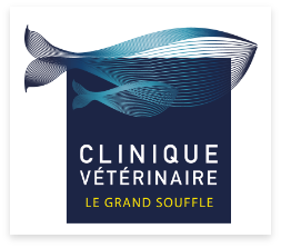 logo-clinique-veterinaire